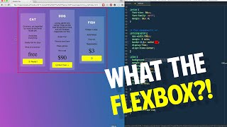 Flexbox Pricing Grid! - Tutorial 17 of 20 💪