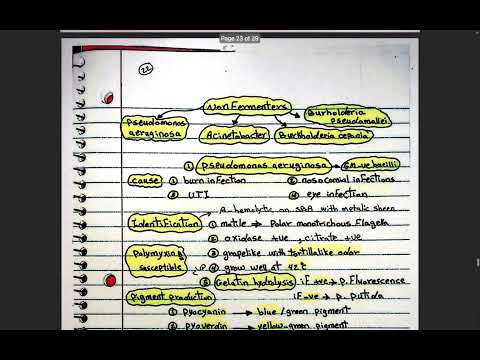 lec 8 non fermenters bacilli
