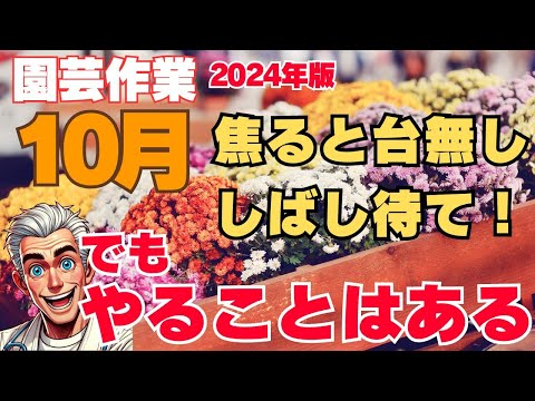 園芸 ケープヘザー