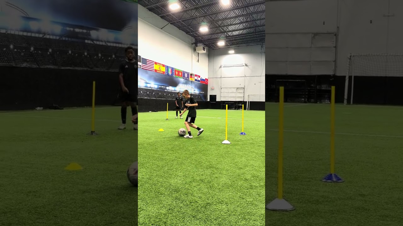 Dominic & Riley Training