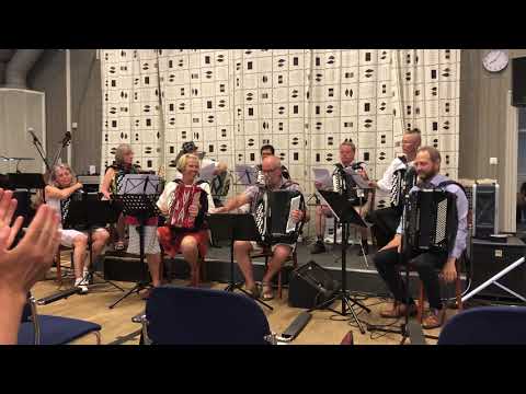 Visingsö Remmardrag spelar