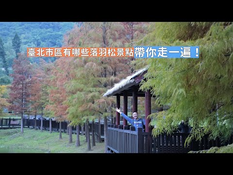 Explore el lugar panorámico de los pinos caídos en la mejor parte de la ciudad de Taipei, con transporte conveniente y sin necesidad de caminar muy lejos.