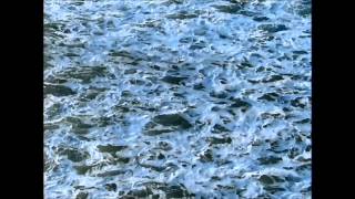 The Black Hundred - Not Tired of You