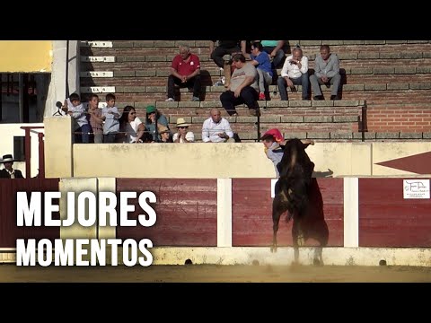 Toros Bravos Solo Mejores Momentos #1
