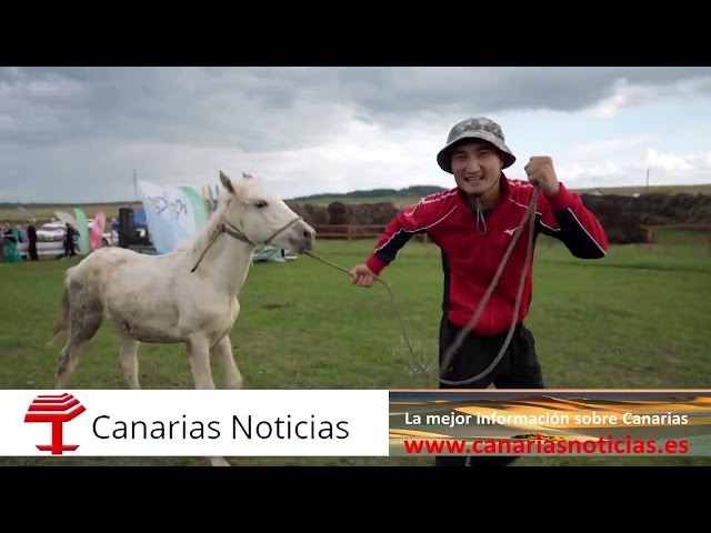 Manos que restauran el mundo