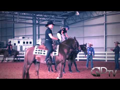 DDTV Equitana 2014 Roman Riding Ride Off promo