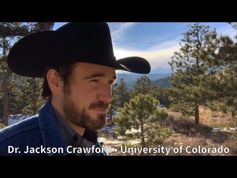 The Afterlife and Hel in Norse Myth