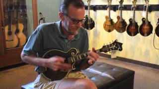 Carter Vintage Guitars - Adam Steffey - Daley F-5 