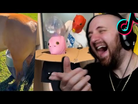 Tectone Reacts to Tiktok Until it Gets Racist