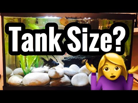 Goldfish Tank Size? Myths & Using Calculator?