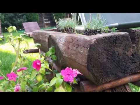 Pensiunea Bonsai Busteni