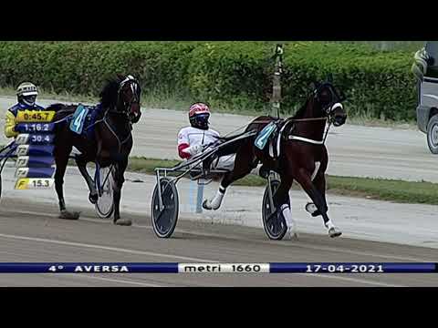 Aversa trotto 17 Aprile 2021 - 4° Corsa