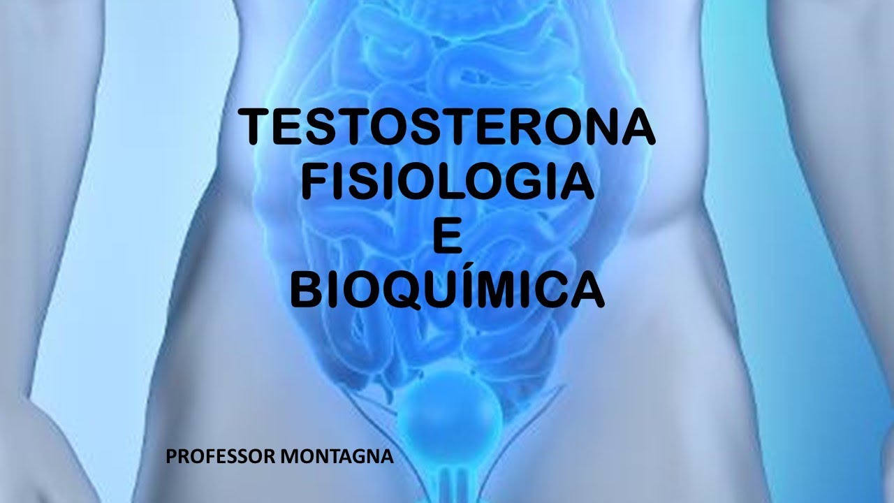 TESTOSTERONA  FISIOLOGIA E BIOQUÍMICA