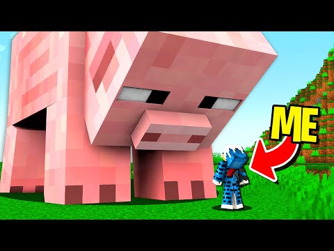 LA MIA MOD PREFERITA DI MINECRAFT