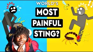 What Is The Most Painful Sting You Can Survive? | Kymanijb Reacts