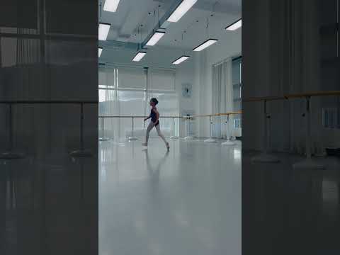 Started learning Paquita variation. It wasn't too bad for the first day :-)