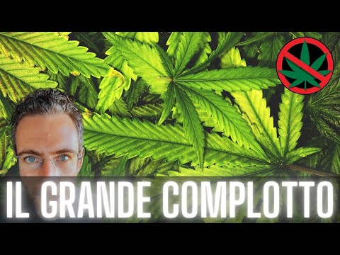 Cannabis: il grande complotto