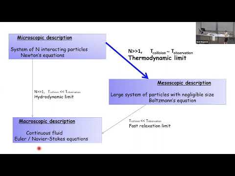Laure Saint-Raymond: Dynamics of dilute gases: a statistical approach