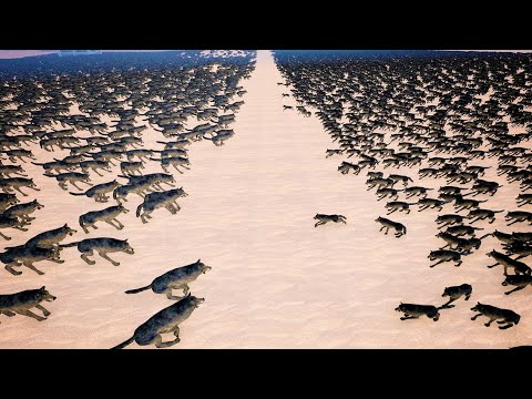 12,000 Wolf vs 4,000 Dire Wolf (Extinct Giant Wolf) - Ultimate Epic Battle Simulator | UEBS
