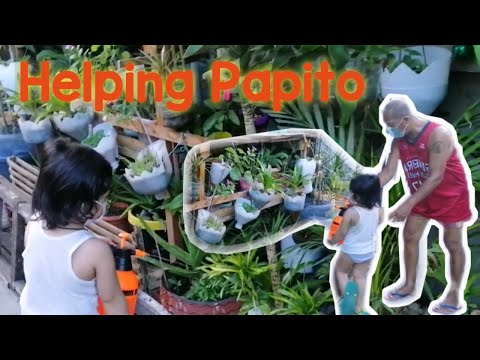 Binoy and Papito Bonding