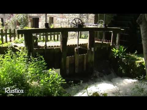 comment soigner agapanthe