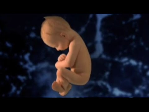 Oratorium "Matins for the Unborn"- (Jutrznia dla Nienarodzonych) - P.BĘBENEK