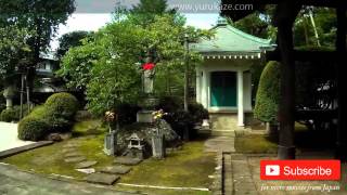 311. Walking in Japanese Garden