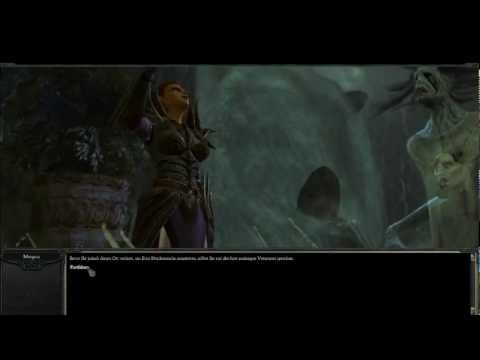 Divinity II - Ego Draconis #002: Hasenschlächter, Hühnermörder, Schweineschubser - Drachentöter?