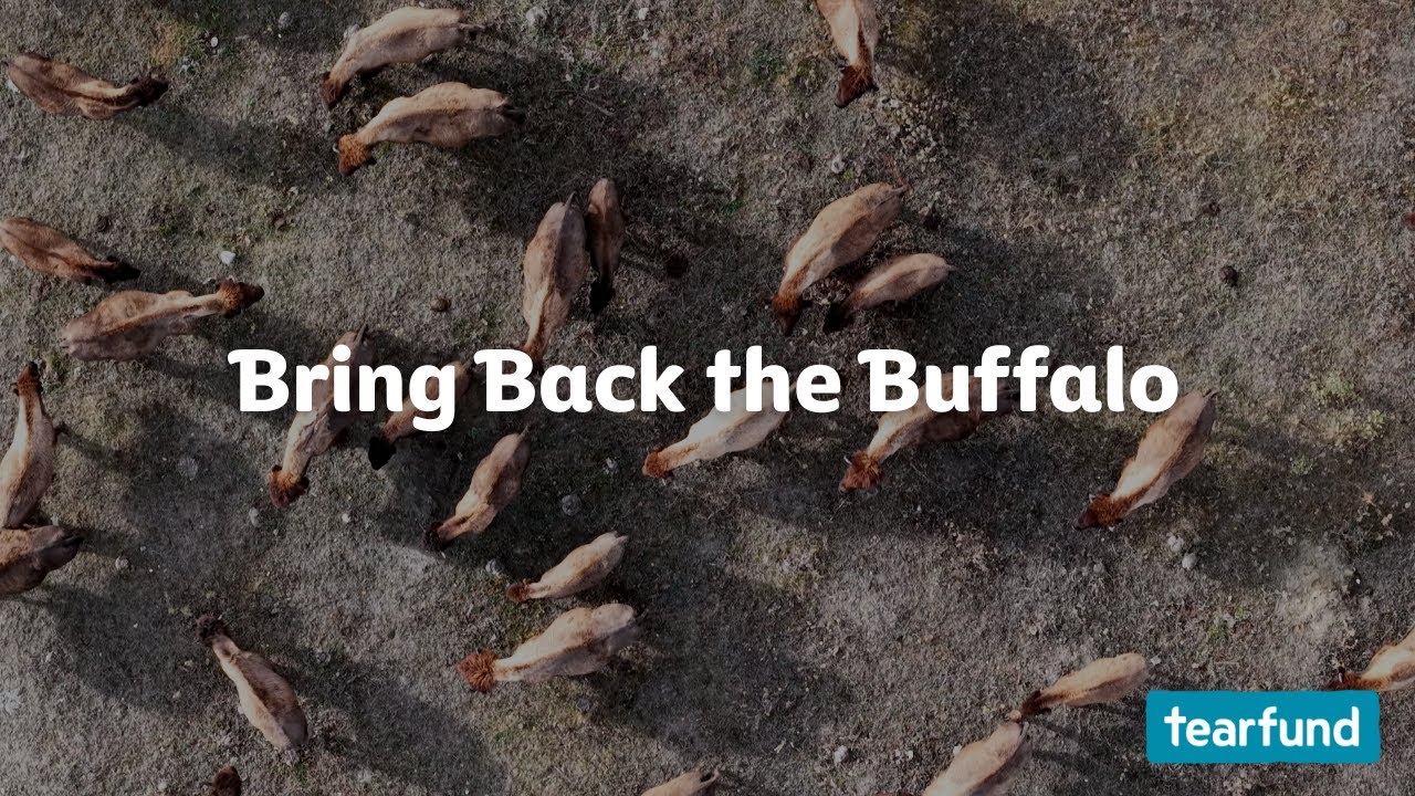 Hope on the Prairies: Reconciliation and Restoration