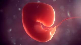 Download lagu Musik Untuk Merangsang Perkembangan dan Kecerdasan Bayi dalam Kandungan | Relaksasi Ibu Hamil mp3 Download lagu Musik Untuk Merangsang Perkembangan dan Kecerdasan Bayi dalam Kandungan | Relaksasi Ibu Hamil mp3