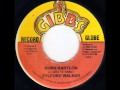 Sylford Walker - Burn Babylon