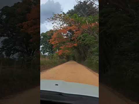 Caminhos de Minas de São José da Serra a Jaboticatubas
