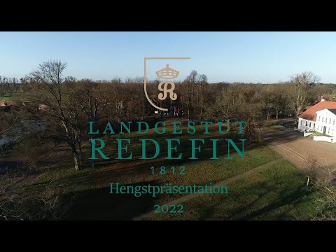 Zircon Blue v. Zirocco Blue SF - Corrado I, Holsteiner, Hengst * 2019