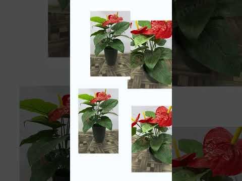 Artificial Anthurium Plant SU-80