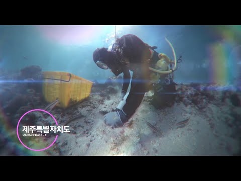 (360 Video) 국립해양문화재연구소 수중문화재 발굴조사 360º VR 영상
