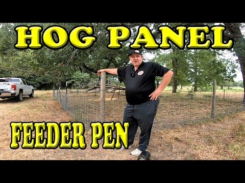 My New Hog Panel Deer Feeder Pen