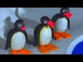 Pingu S06E25 Pingu Makes A Big Splash