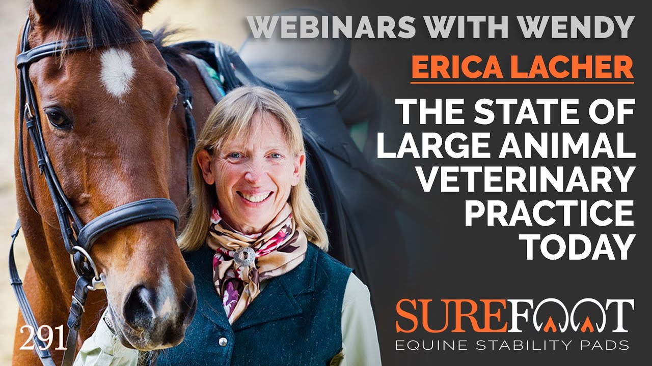 No 291. Dr Erica Lacher - The state of large animal veterinary practice today