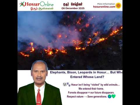 Wildlife Sightings Near Hosur Highlight Human Encroachment Into Forest Habitats