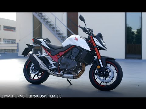 Honda Semmler - 23YM HORNET CB750 USP FILM DE