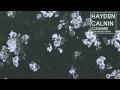 Hayden Calnin - Coward (Sean Mackey Remix ...