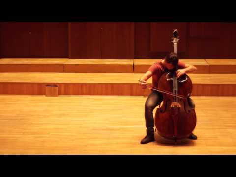 M.Gajdoš - Capriccio in e moll