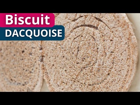 Biscuit Dacquoise/Succès : Recette CAP Pâtissier