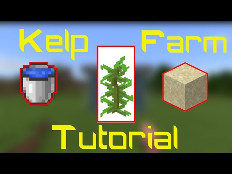 How to make a Kelp Farm in Minecraft!