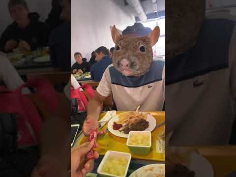 The Rat at the University Restaurant #Shorts