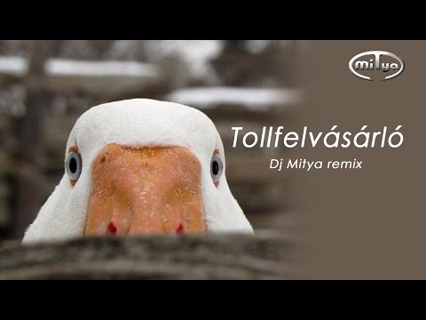 Tollfelvásárló (Dj Mitya remix)