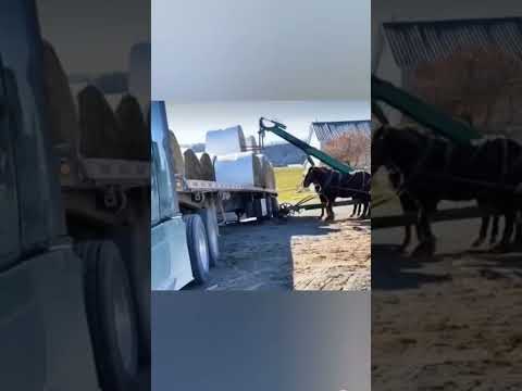 вилочный погрузчик СИПТЕР экономия 50% #стройка #спецтехника #строительство #дом #юмор #приколы