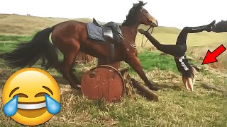 TENTE NÃO RIR 🤣 MELHORES MEMES E VIDEOS ENGRAÇADOS #9 #videosengraçados #memes #tentenaorir