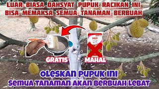 Download lagu powerful fertilizer to force durian and all plants to bear fruit abundantly mp3