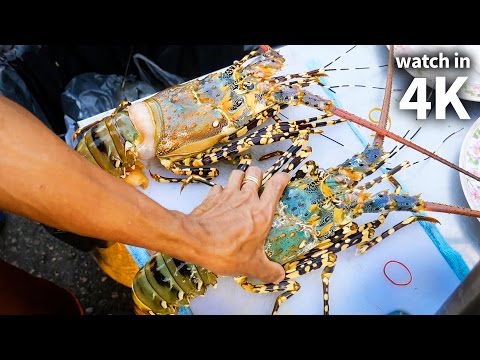 download lagu mp3 mp4 Spiny Lobster Food, download lagu Spiny Lobster Food gratis, unduh video klip Spiny Lobster Food